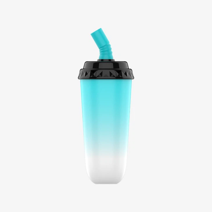 6000 Puffs Vape Device